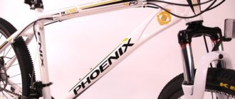 Bicykel Phoenix - výhody a nevýhody, tipy na výber