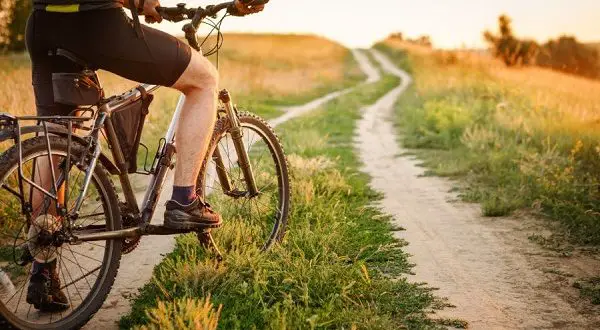 Bicykel do lesa a do mesta - aký bicykel si vybrať